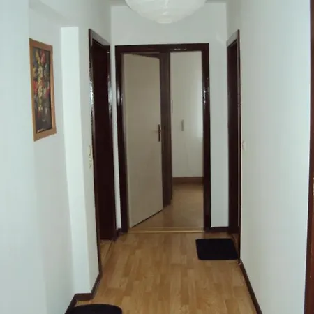 Sonne Rehe * Rehefeld-Zaunhaus