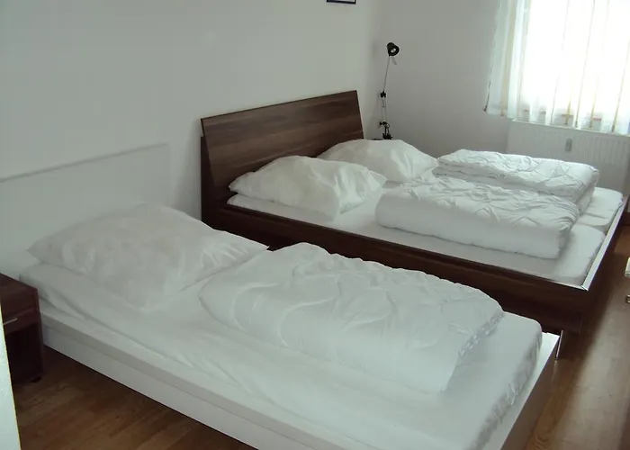 Sonne Rehe * Rehefeld-Zaunhaus