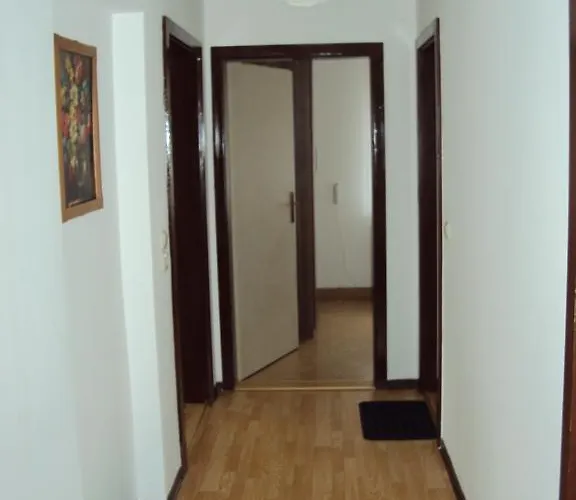 Sonne Rehe * Rehefeld-Zaunhaus